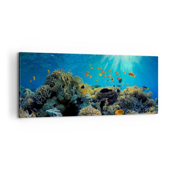 Obraz na płótnie - Podwodne skarby - 100x40cm - Rafa Koralowa Ocean Morski - Nowoczesny foto obraz w ramie do salonu do sypialni ARTTOR ARTTOR