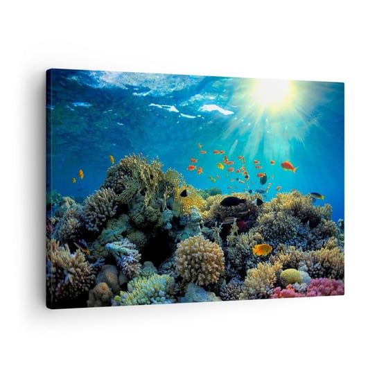 Obraz na płótnie - Podwodne skarby - 70x50cm - Rafa Koralowa Ocean Morski - Nowoczesny Canvas obraz do salonu do sypialni ARTTOR ARTTOR