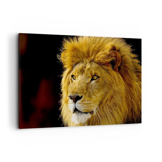 Obraz na płótnie - Portret króla - 100x70cm - Zwierzęta  Lew Natura - Nowoczesny foto obraz w ramie do salonu do sypialni ARTTOR ARTTOR