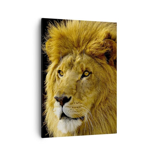 Obraz na płótnie - Portret króla - 50x70cm - Zwierzęta  Lew Natura - Nowoczesny Canvas obraz do salonu do sypialni ARTTOR ARTTOR