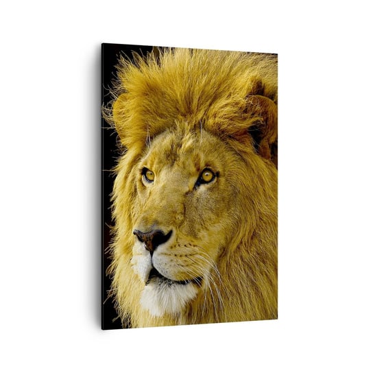 Obraz na płótnie - Portret króla - 70x100cm - Zwierzęta  Lew Natura - Nowoczesny foto obraz w ramie do salonu do sypialni ARTTOR ARTTOR