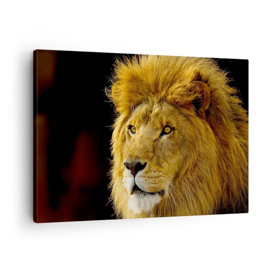Obraz na płótnie - Portret króla - 70x50cm - Zwierzęta  Lew Natura - Nowoczesny Canvas obraz do salonu do sypialni ARTTOR ARTTOR