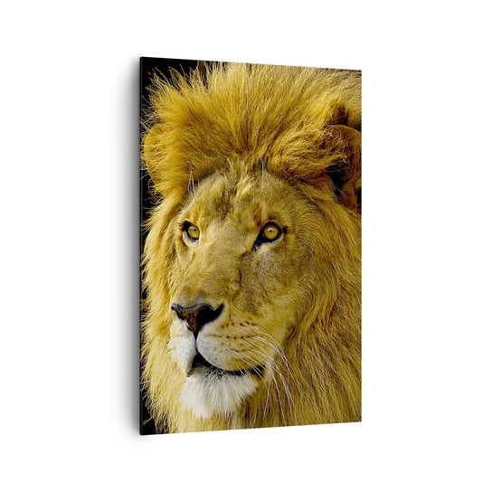 Obraz na płótnie - Portret króla - 80x120cm - Zwierzęta  Lew Natura - Nowoczesny obraz na ścianę do salonu do sypialni ARTTOR ARTTOR
