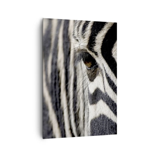 Obraz na płótnie - Portret w paski - 70x100cm - Zwierzęta Zebra Afryka - Nowoczesny foto obraz w ramie do salonu do sypialni ARTTOR ARTTOR