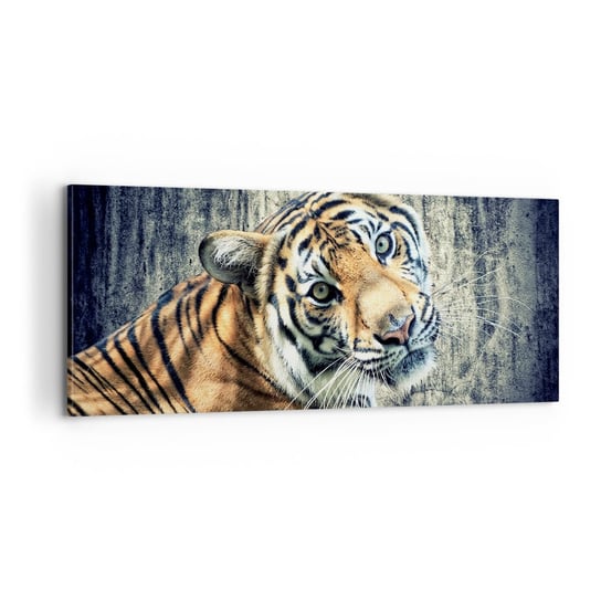 Obraz na płótnie - Portret w strugach światła - 100x40cm - Zwierzęta Tygrys Afryka - Nowoczesny foto obraz w ramie do salonu do sypialni ARTTOR ARTTOR