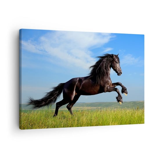 Obraz na płótnie - Porywający manifest wolności - 70x50cm - Zwierzęta Koń Krajobraz - Nowoczesny Canvas obraz do salonu do sypialni ARTTOR ARTTOR