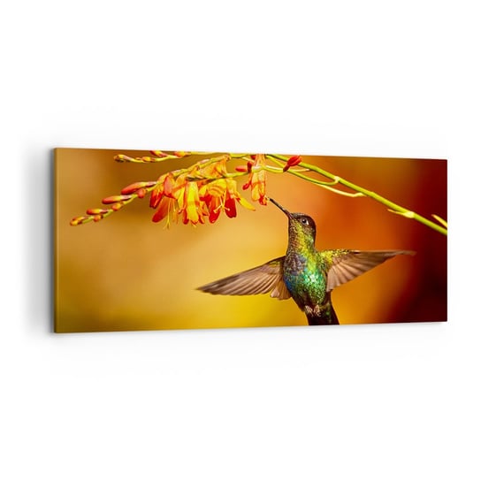 Obraz na płótnie - Posłaniec światła wg Majów - 120x50cm - Koliber Ptak Natura - Nowoczesny obraz na ścianę do salonu do sypialni ARTTOR ARTTOR