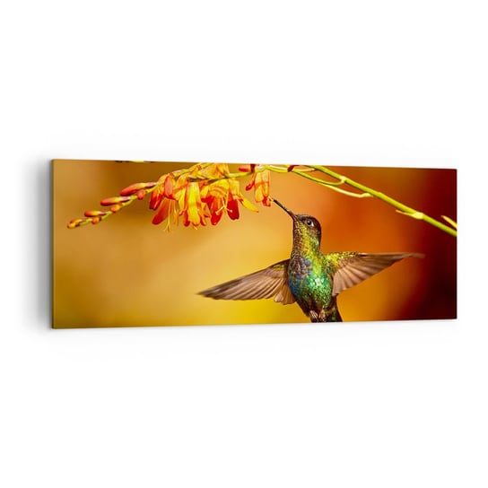 Obraz na płótnie - Posłaniec światła wg Majów - 140x50cm - Koliber Ptak Natura - Nowoczesny Canvas obraz do salonu do sypialni ARTTOR ARTTOR