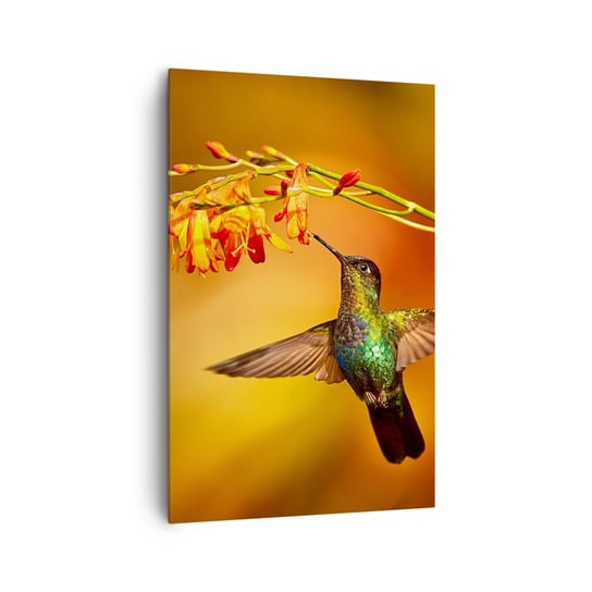 Obraz na płótnie - Posłaniec światła wg Majów - 80x120cm - Koliber Ptak Natura - Nowoczesny obraz na ścianę do salonu do sypialni ARTTOR ARTTOR