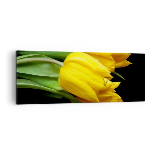 Obraz na płótnie - Powstały z czystego słońca - 140x50cm - Kwiaty Tulipany Bukiet Kwiatów - Nowoczesny Canvas obraz do salonu do sypialni ARTTOR ARTTOR