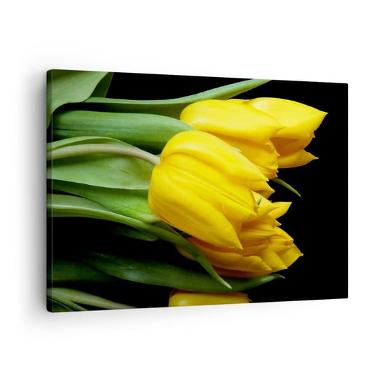 Obraz na płótnie - Powstały z czystego słońca - 70x50cm - Kwiaty Tulipany Bukiet Kwiatów - Nowoczesny Canvas obraz do salonu do sypialni ARTTOR ARTTOR