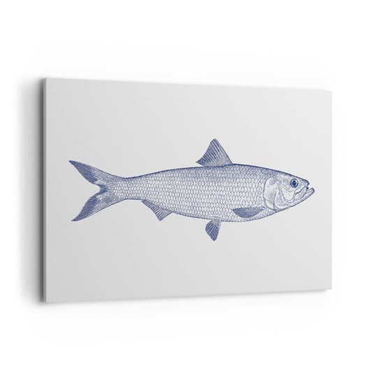 Obraz na płótnie - Pozdrowienia z północnych mórz - 120x80cm - Ryba Zwierzę Morskie Styl Nadmorski - Nowoczesny obraz na ścianę do salonu do sypialni ARTTOR ARTTOR