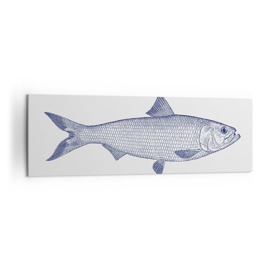 Obraz na płótnie - Pozdrowienia z północnych mórz - 160x50cm - Ryba Zwierzę Morskie Styl Nadmorski - Nowoczesny foto obraz w ramie do salonu do sypialni ARTTOR ARTTOR