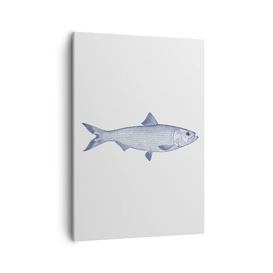 Obraz na płótnie - Pozdrowienia z północnych mórz - 50x70cm - Ryba Zwierzę Morskie Styl Nadmorski - Nowoczesny Canvas obraz do salonu do sypialni ARTTOR ARTTOR