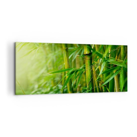 Obraz na płótnie - Poznać zieleń samą w sobie - 100x40cm - Roślina Bambus Dżungla - Nowoczesny foto obraz w ramie do salonu do sypialni ARTTOR ARTTOR