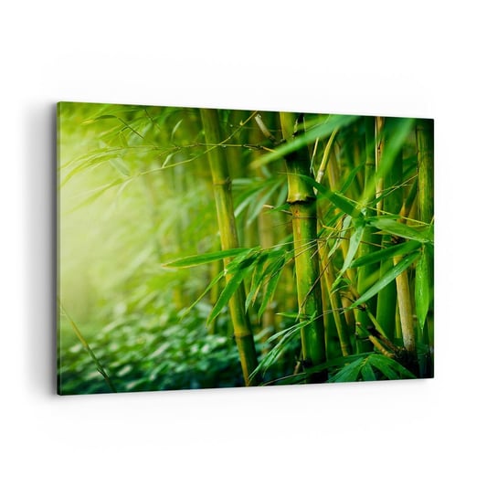 Obraz na płótnie - Poznać zieleń samą w sobie - 100x70cm - Roślina Bambus Dżungla - Nowoczesny foto obraz w ramie do salonu do sypialni ARTTOR ARTTOR