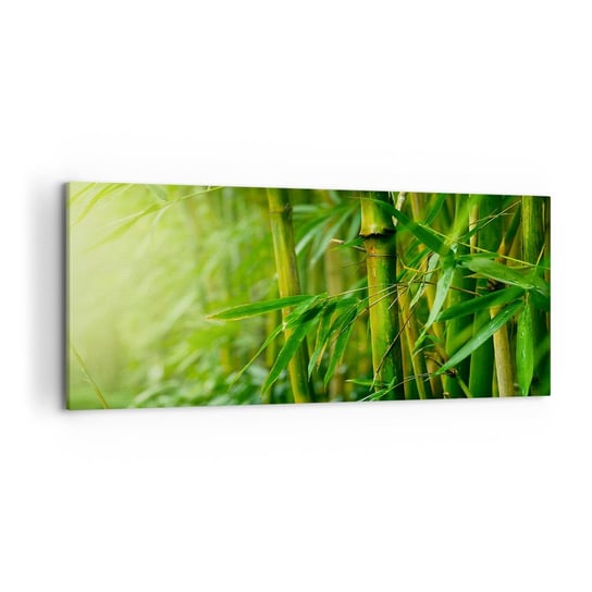 Obraz na płótnie - Poznać zieleń samą w sobie - 120x50cm - Roślina Bambus Dżungla - Nowoczesny obraz na ścianę do salonu do sypialni ARTTOR ARTTOR