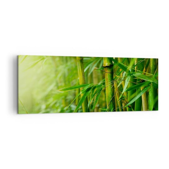 Obraz na płótnie - Poznać zieleń samą w sobie - 140x50cm - Roślina Bambus Dżungla - Nowoczesny Canvas obraz do salonu do sypialni ARTTOR ARTTOR