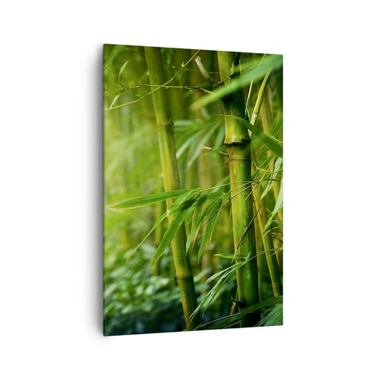 Obraz na płótnie - Poznać zieleń samą w sobie - 70x100cm - Roślina Bambus Dżungla - Nowoczesny foto obraz w ramie do salonu do sypialni ARTTOR ARTTOR