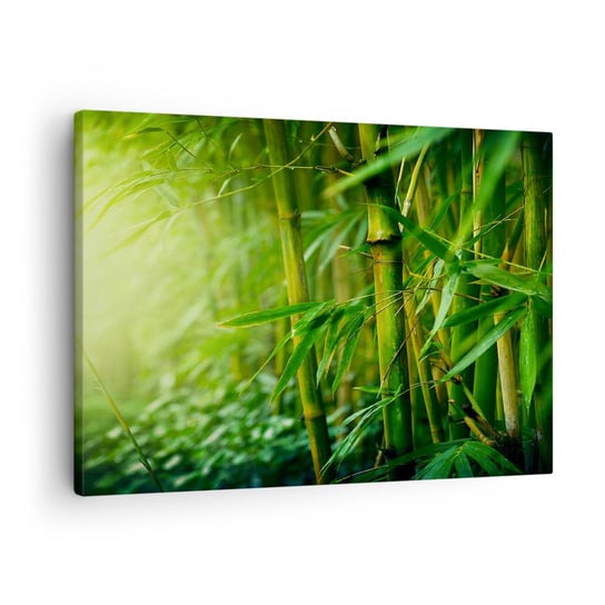 Obraz na płótnie - Poznać zieleń samą w sobie - 70x50cm - Roślina Bambus Dżungla - Nowoczesny Canvas obraz do salonu do sypialni ARTTOR ARTTOR