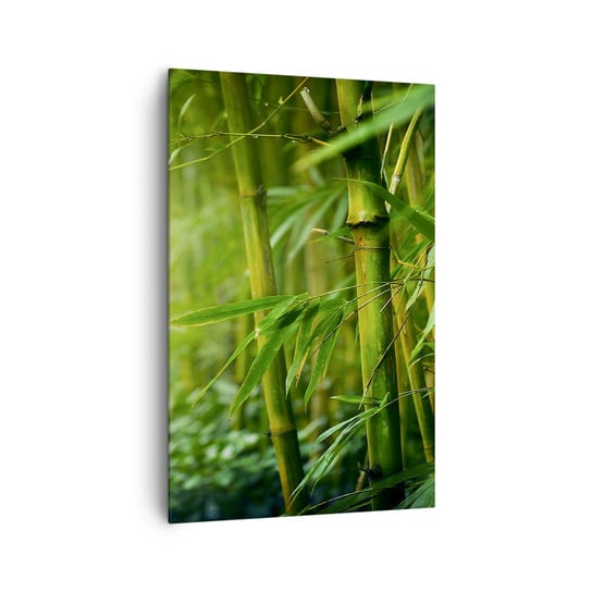 Obraz na płótnie - Poznać zieleń samą w sobie - 80x120cm - Roślina Bambus Dżungla - Nowoczesny obraz na ścianę do salonu do sypialni ARTTOR ARTTOR
