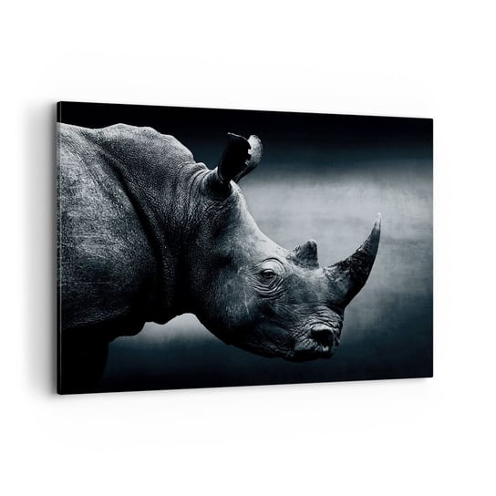 Obraz na płótnie - Prawy profil - 100x70cm - Nosorożec Czarno-Biały Zwierzęta - Nowoczesny foto obraz w ramie do salonu do sypialni ARTTOR ARTTOR