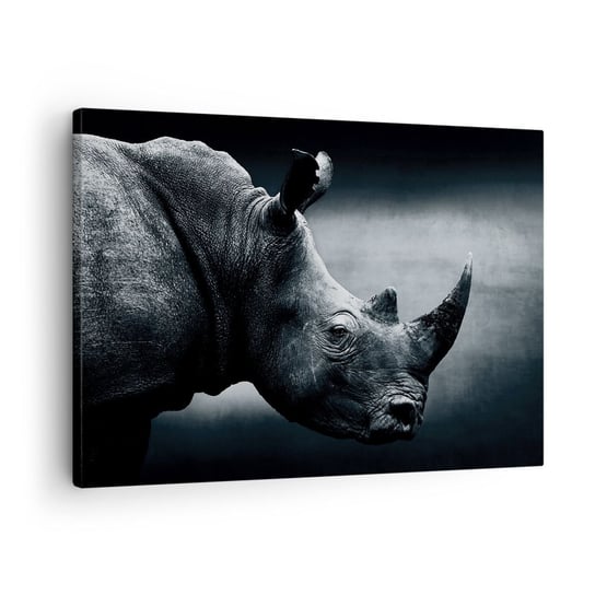 Obraz na płótnie - Prawy profil - 70x50cm - Nosorożec Czarno-Biały Zwierzęta - Nowoczesny Canvas obraz do salonu do sypialni ARTTOR ARTTOR