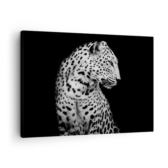 Obraz na płótnie - Prawy profil doskonały! - 70x50cm - Zwierzęta Lampart Czarno-Biały - Nowoczesny Canvas obraz do salonu do sypialni ARTTOR ARTTOR
