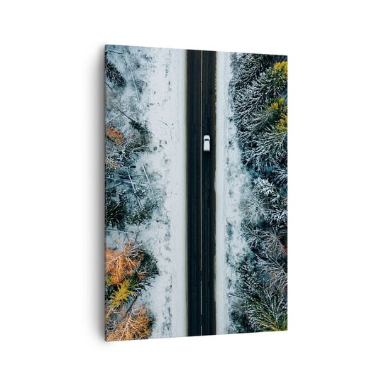 Obraz na płótnie - Przeciąć zimowy las - 70x100cm - Krajobraz Las Zima - Nowoczesny foto obraz w ramie do salonu do sypialni ARTTOR ARTTOR