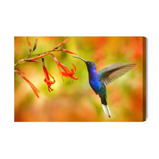 Obraz Na Płótnie Ptak Koliber I Kwiaty 100x70 NC Inna marka