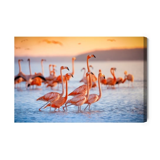 Obraz Na Płótnie Ptaki Flamingi 40x30 NC Inna marka