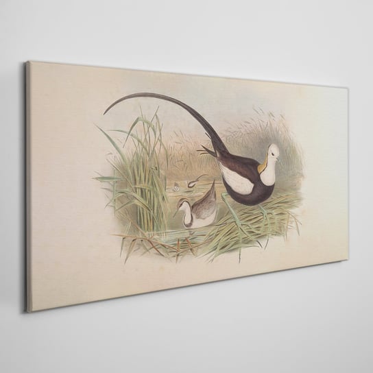 Obraz Na Płótnie Ptaki zwierzęta rysunek 100x50 cm Coloray