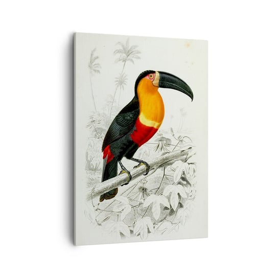 Obraz na płótnie - Ptasie barwy - 50x70cm - Ptak Rysunek Klasycyzm - Nowoczesny Canvas obraz do salonu do sypialni ARTTOR ARTTOR