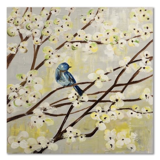 Obraz na płótnie, Ptaszek na gałęzi, 50x50 cm Feeby