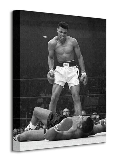 Obraz na płótnie PYRAMID INTERNATIONAL canvas Muhammad Ali, 30x40 cm Muhammad Ali