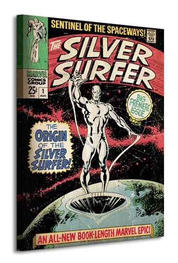 Obraz na płótnie PYRAMID INTERNATIONAL canvas Silver Surfer, 60x80 cm Marvel
