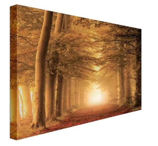 Obraz na płótnie PYRAMID POSTERS Autumn Feelings, 60x80 cm Art Group