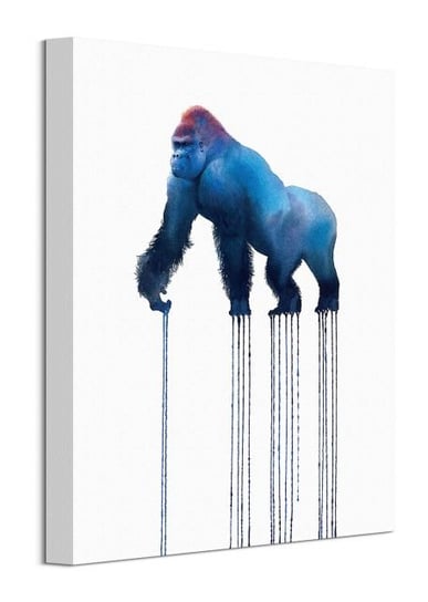 Obraz na płótnie PYRAMID POSTERS Silverback Gorilla, 30x40 cm Inna marka