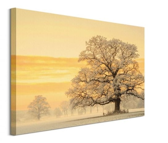 Obraz na płótnie PYRAMID POSTERS Winter Light, 80x60 cm Art Group