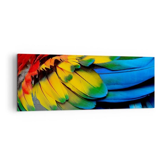 Obraz na płótnie - Rajski ptak - 140x50cm - Kolorowe Pióra Pióra Papugi Zwierzęta - Nowoczesny Canvas obraz do salonu do sypialni ARTTOR ARTTOR