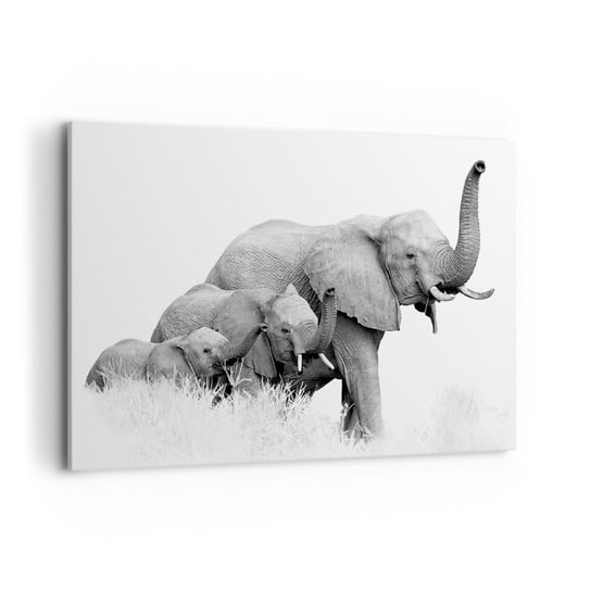 Obraz na płótnie - Raz, dwa, trzy - 100x70cm - Zwierzęta Słoń Czarno-Biały - Nowoczesny foto obraz w ramie do salonu do sypialni ARTTOR ARTTOR