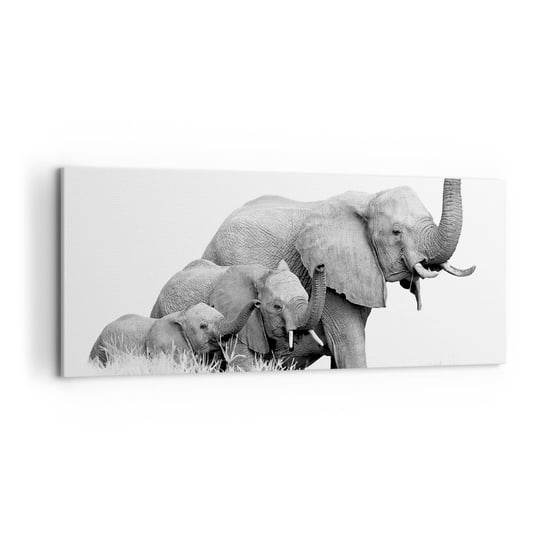 Obraz na płótnie - Raz, dwa, trzy - 120x50cm - Zwierzęta Słoń Czarno-Biały - Nowoczesny obraz na ścianę do salonu do sypialni ARTTOR ARTTOR