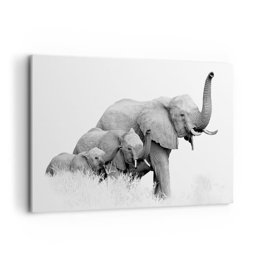 Obraz na płótnie - Raz, dwa, trzy - 120x80cm - Zwierzęta Słoń Czarno-Biały - Nowoczesny obraz na ścianę do salonu do sypialni ARTTOR ARTTOR