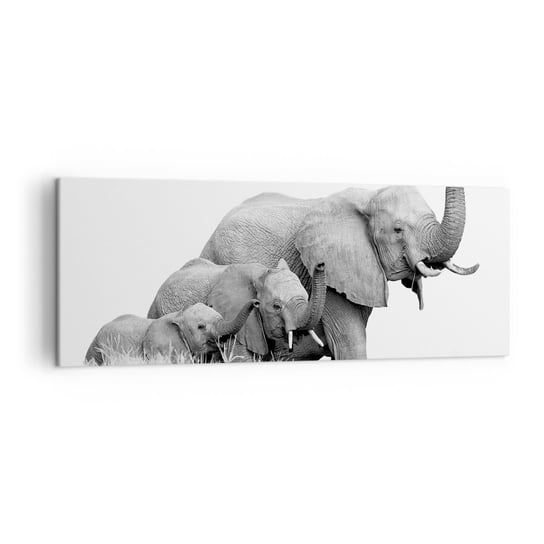 Obraz na płótnie - Raz, dwa, trzy - 140x50cm - Zwierzęta Słoń Czarno-Biały - Nowoczesny Canvas obraz do salonu do sypialni ARTTOR ARTTOR