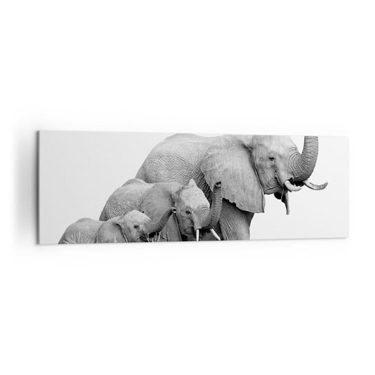 Obraz na płótnie - Raz, dwa, trzy - 160x50cm - Zwierzęta Słoń Czarno-Biały - Nowoczesny foto obraz w ramie do salonu do sypialni ARTTOR ARTTOR