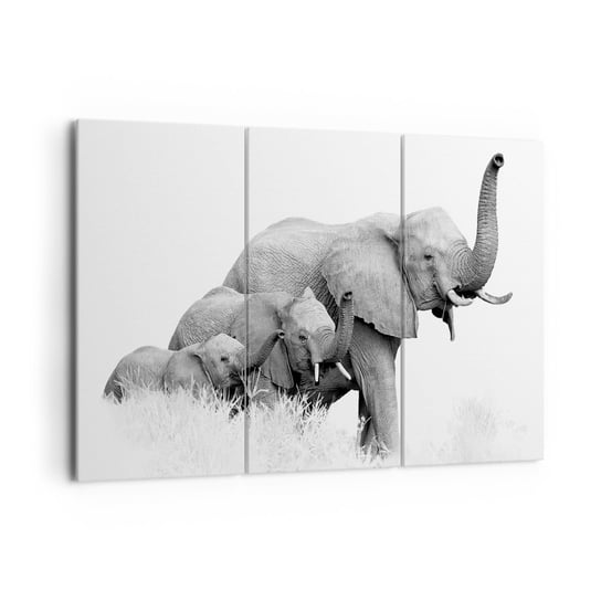 Obraz na płótnie - Raz, dwa, trzy - 165x110 cm - Obraz nowoczesny - Zwierzęta, Słoń, Czarno-Biały, Afryka, Rodzina - CE165x110-4374 ARTTOR