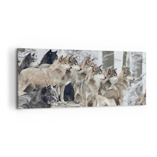 Obraz na płótnie - Rodzina i przyjaciele - 100x40cm - Wataha Wilków Wilki Zwierzęta - Nowoczesny foto obraz w ramie do salonu do sypialni ARTTOR ARTTOR