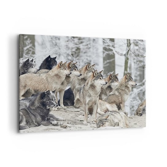 Obraz na płótnie - Rodzina i przyjaciele - 100x70cm - Wataha Wilków Wilki Zwierzęta - Nowoczesny foto obraz w ramie do salonu do sypialni ARTTOR ARTTOR