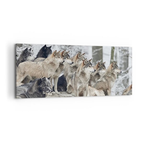 Obraz na płótnie - Rodzina i przyjaciele - 120x50cm - Wataha Wilków Wilki Zwierzęta - Nowoczesny obraz na ścianę do salonu do sypialni ARTTOR ARTTOR