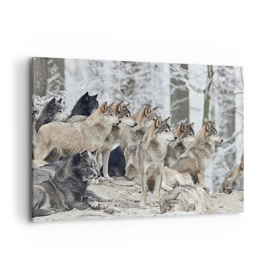Obraz na płótnie - Rodzina i przyjaciele - 120x80cm - Wataha Wilków Wilki Zwierzęta - Nowoczesny obraz na ścianę do salonu do sypialni ARTTOR ARTTOR